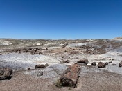 Petrified Forest National Park
