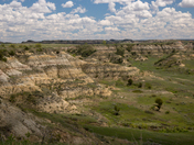 Theodore Roosevelt National Park
