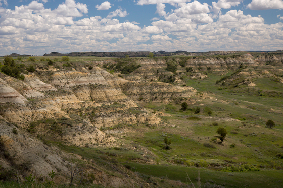Theodore Roosevelt National Park
