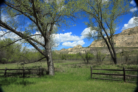 Theodore Roosevelt National Park