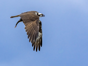 Grand Teton National Park