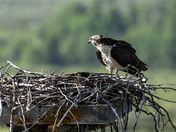 Grand Teton National Park