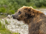 Katmai National Park