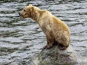 Katmai National Park