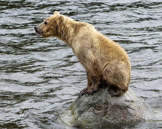 Katmai National Park