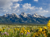 Grand Teton National Park