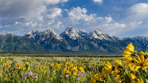 Grand Teton National Park