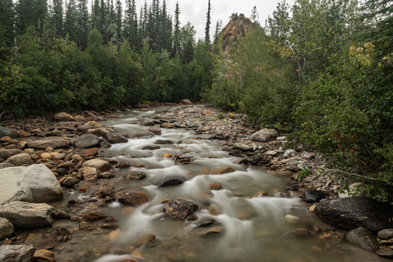 Denali National Park