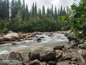 Denali National Park