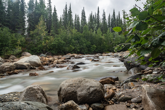 Denali National Park