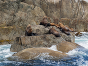 Kenai Fjords National Park
