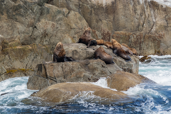 Kenai Fjords National Park
