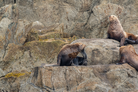 Kenai Fjords National Park