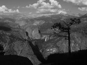 Yosemite National Park