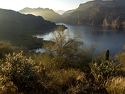 Tonto National Forest