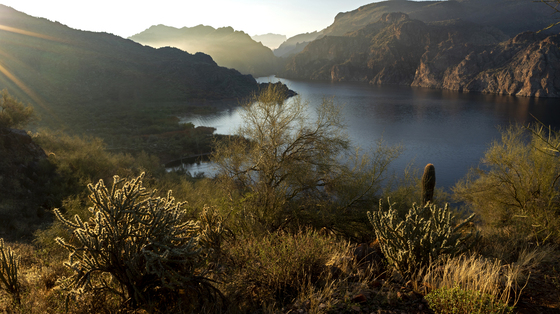 Tonto National Forest