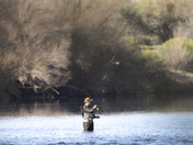 Tonto National Forest
