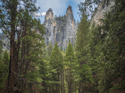 Yosemite National Park