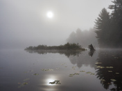 Foggy Morning Paddle