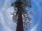 Yosemite National Park