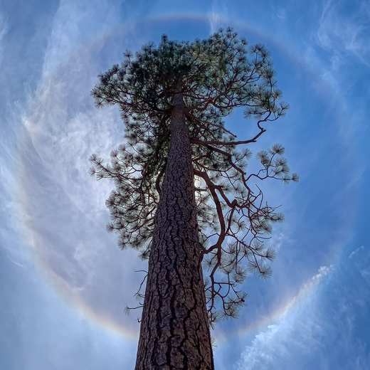 Yosemite National Park