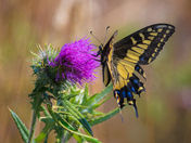 Point Reyes National Seashore