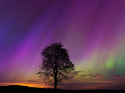 Another beautiful frame of Northern Lights