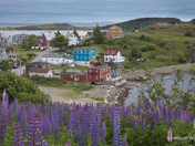 Pretty in Purple....