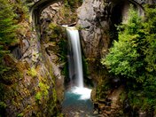 Mt. Rainier National Park