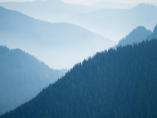 Mt. Rainier National Park