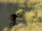 Rocky Mountain National Park