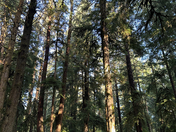 ‎⁨Mora Campground⁩, ⁨Forks⁩, ⁨Washington⁩, ⁨United States⁩