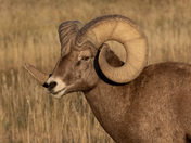 Badlands National Park