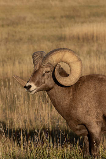 Badlands National Park