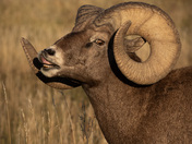 Badlands National Park