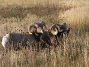 Badlands National Park