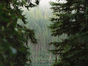 Glacier National Park