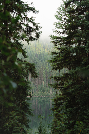 Glacier National Park