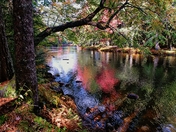 Kejimkujik National Park