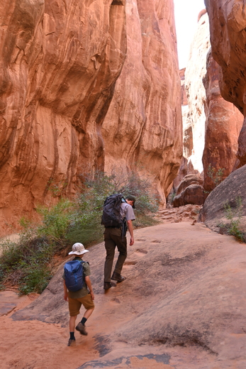 Arches National Park