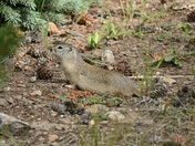 Rocky Mountain National Park