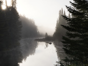 Sun breaking through the morning fog