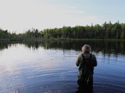 Superior National Forest