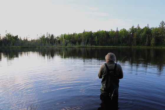 Superior National Forest