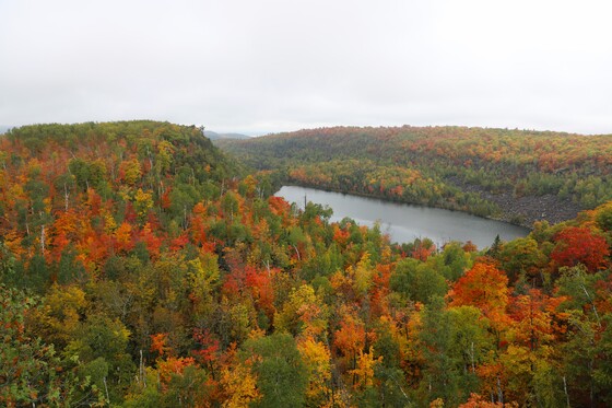 Superior National Forest