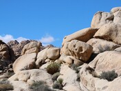 Joshua Tree National Park