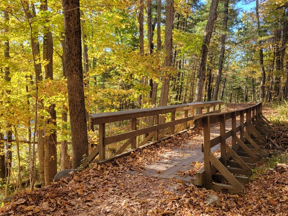 Westville Recreation Area