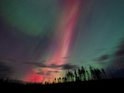 Dance the Night Away