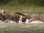 Glacier National Park