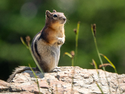 Glacier National Park
